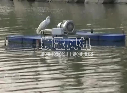 高壓風機應用之河道治理